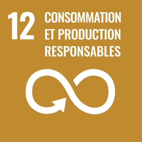 Icône de recyclage représentant l'infini pour la consommation responsable.