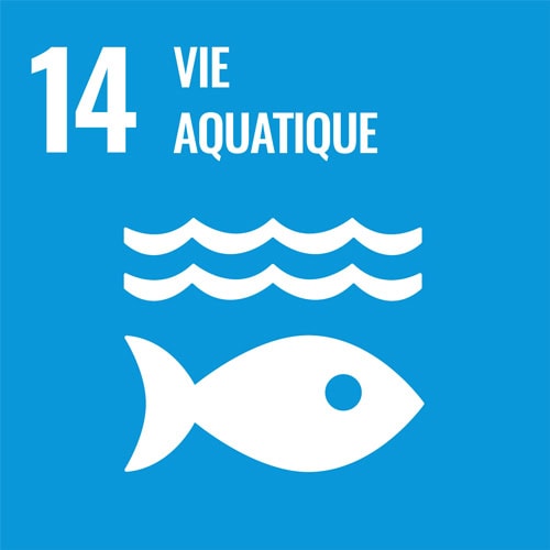 Balise de l'ONU sur les Objectifs de Développement Durable.